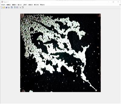 Evaluating the Effect of Oil-Displacing Agents Using Computer Graphics and Visualization Glass Plate Model Experiments